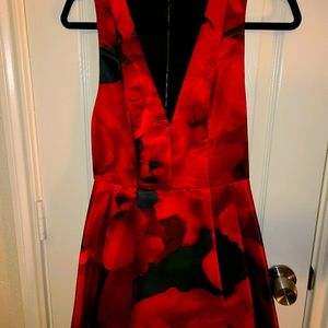 Alice and Olivia Dress sz 4